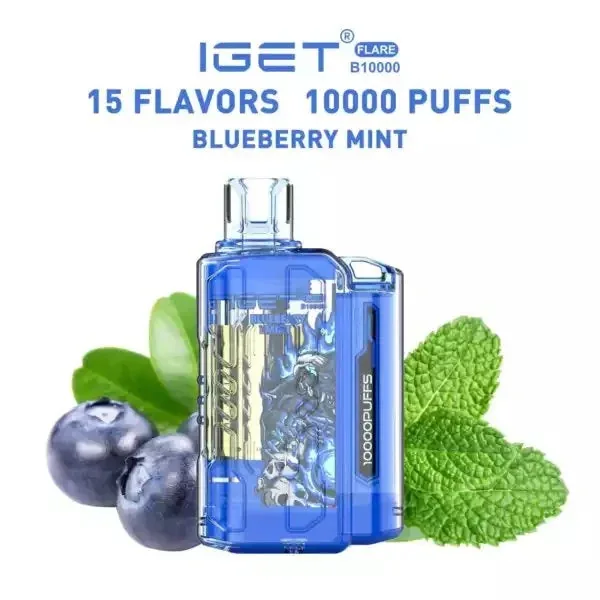 Iget Flare B10000 – Blueberry Mint - Buy Authentic Vape in Coimbatore - Vape Shop Coimbatore