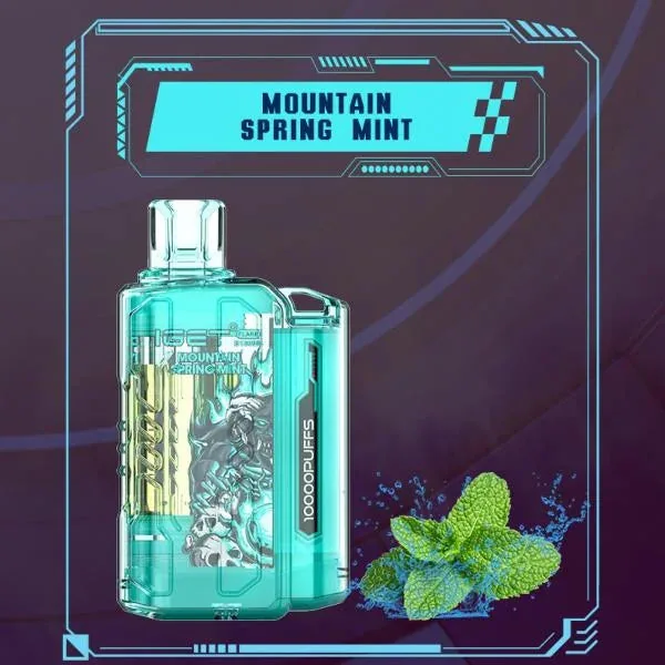 Iget Flare B10000 – Mountain Spring Mint - Buy Authentic Vape in Coimbatore - Vape Shop Coimbatore